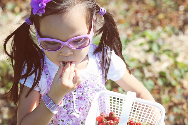 strawberry pickin'
