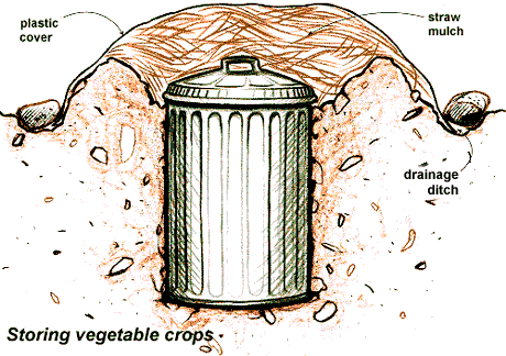 Garbage Can Root Cellar