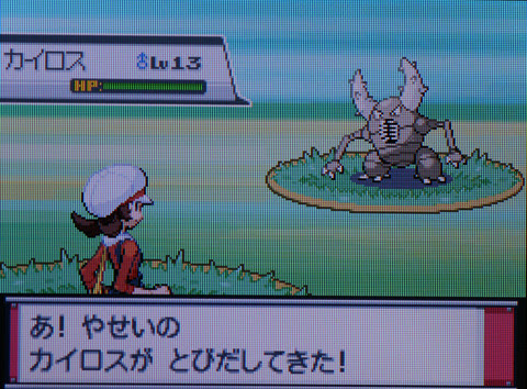 ポケットモンスターハートゴールド プレイ日記その２２ ポケモン育成 実践レポート