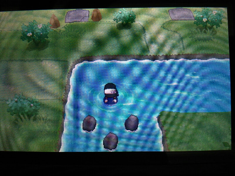 つーか もう ゲイでよくね ポケモンxy 色違いのミニリュウを捕まえたい