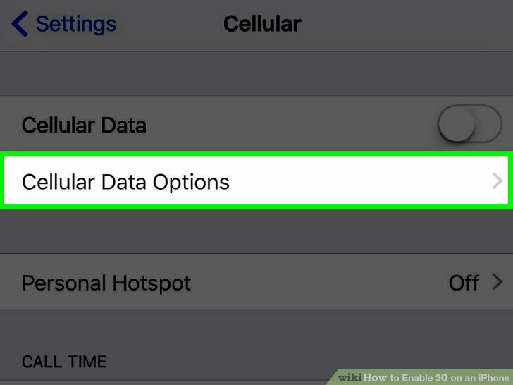 Enable 3G on an iPhone Step 3.jpg