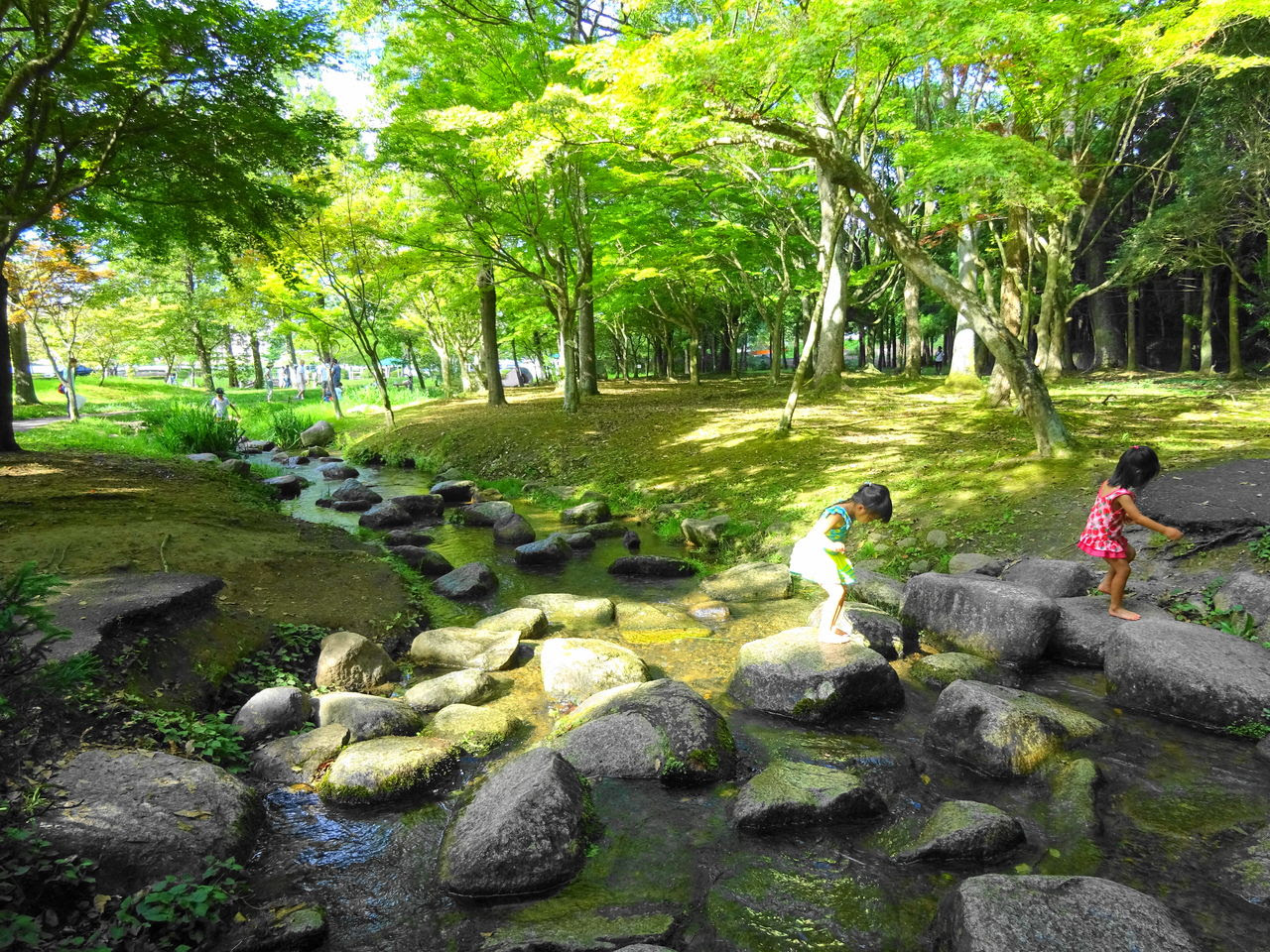 茨城のポケモン出現スポット 千波湖の せせらぎ広場 でひと休み 地域ブログ 茨城 いばらじお