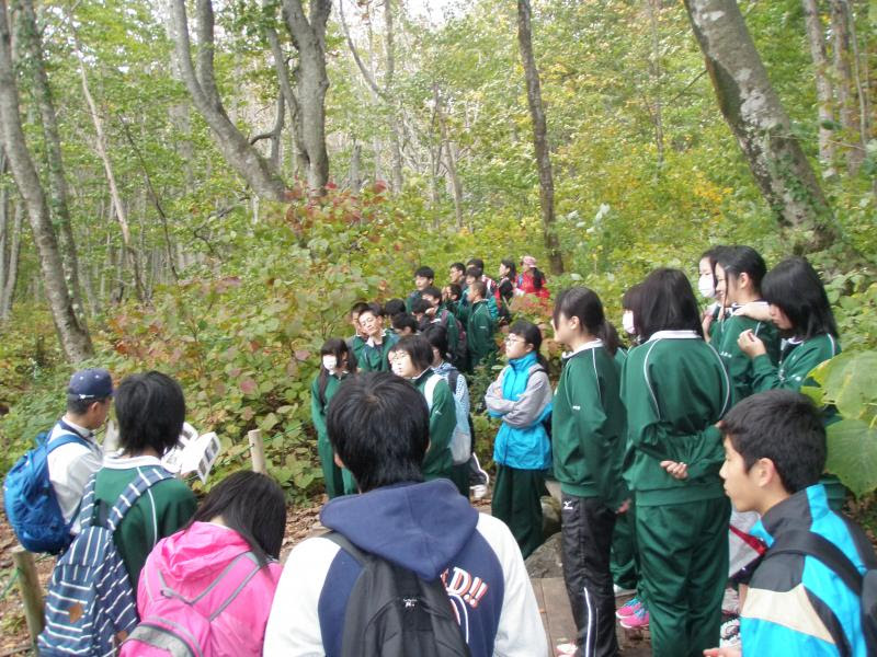 イベント等の実施状況 平成27年度 東北森林管理局
