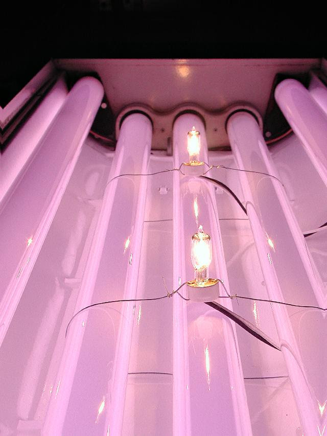 led light bulbs 40 watt  | ibulblight.blogs…
