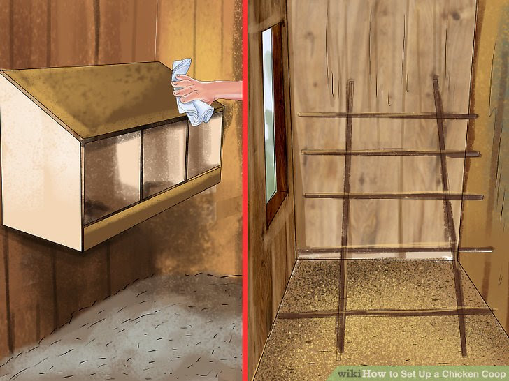 Set Up a Chicken Coop Step 13.jpg