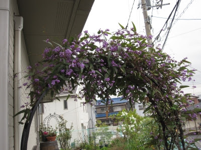 14年04月の記事 大切な一日