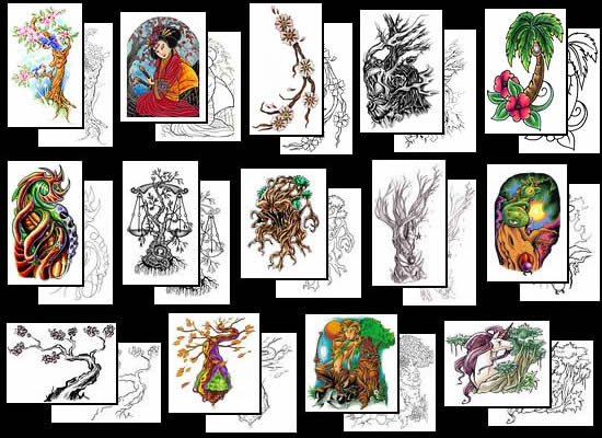  Size:480x640 - 45k: Tree Tattoo Designs
