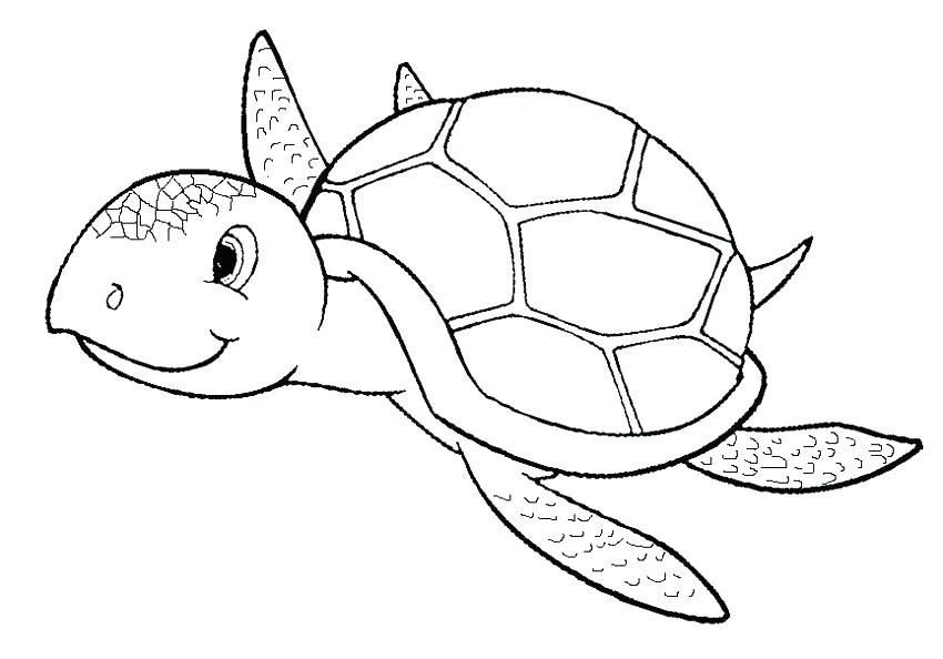 Leatherback Sea Turtle Coloring Page at GetColorings.com ...