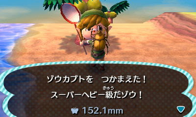 南の島 高額虫 とびだせどうぶつの森 ななむら日記