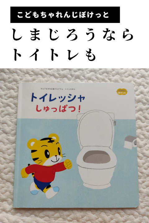 トイレ の 流れ が 悪い 英語