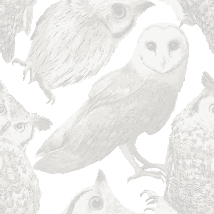 フクロウの壁紙用イラスト 条件付フリー素材集 スマホなど携帯電話対応