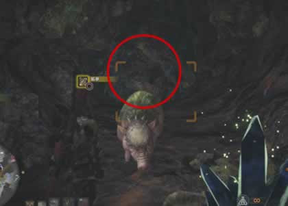 Mhw モンハンワールド 激レア環境生物 ゴワゴワクイナ がいる場所はどこ 発見できる時間は 攻略広場