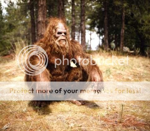 Sasquatch Pictures, Images and Photos