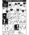 HG Gundam Mk-II [A.E.U.G.] (Revive) English Manual & Color Guide