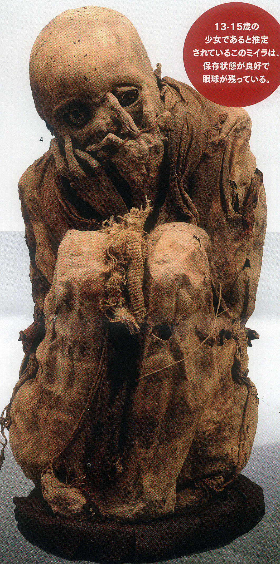 自己への配慮 エピメレイア ヘアウトウ 新地のドゥルーズ