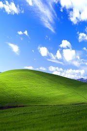 Trend Terbaru Windows XP Original Wallpaper