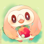 ポケモンsm なにこの仔かわいい モクロー Pixiv年鑑 B