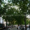 image host