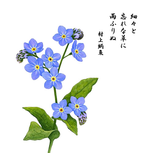 山田歩 山田工務店 Art Works モノの絵 勿忘草