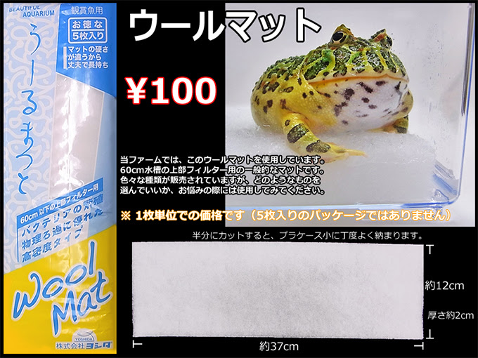 飼育資材のページ ツノガエルのブリーダーnuance 飼育 販売 Pacman Frog