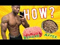 Ground Beef Recipes Bodybuilding
