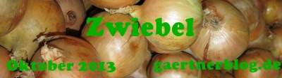 Garten-Koch-Event Oktober 2013: Zwiebel [31.10.2013]