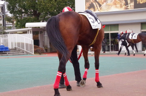 IMGP7465
