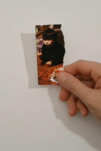 Kép