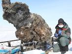 Más cerca de la clonación del mamut que rezuma sangre 