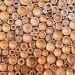 deforestation, deforestation issues, sustainable wood, fsc-certified wood, managed forests, global deforestation, Bordercraft, how sustainable is wood?, Forest Stewardship Council