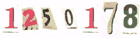 Web Site Counter