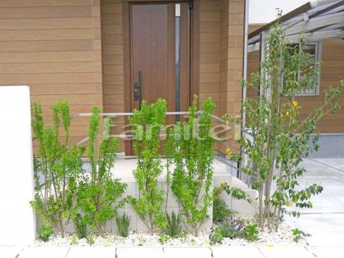 施工例シンボルツリー 左マサキ 右ソヨゴ 常緑樹 下草 低木 植栽 化粧砂利敷き 白玉石 現場番号