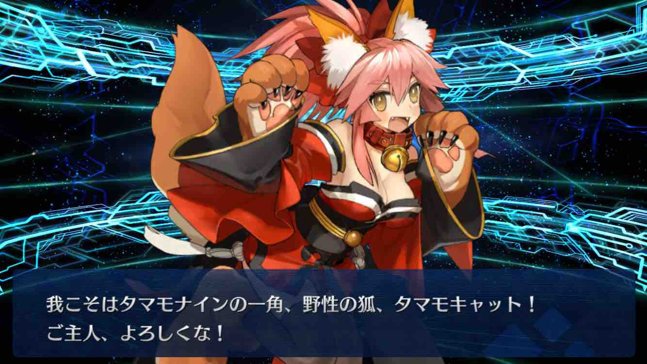 外伝 我が名はタマモキャット Fgo 狐の嫁入り修業