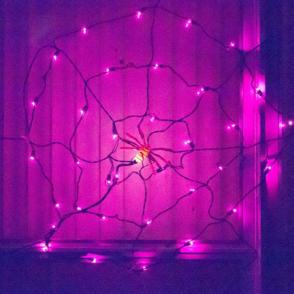Spooky Spiders Halloween Decorations Inspiration Laboratories