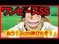 無料ダウンロード ワンピース ss 259053-ワンピース ss クズ