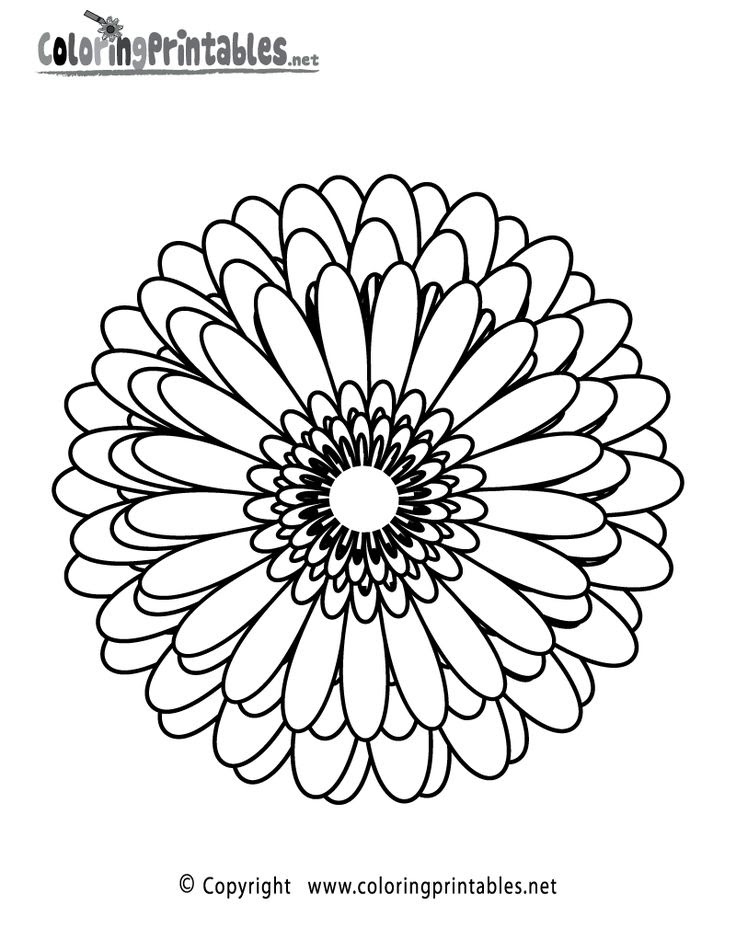 Download Simple Adult Coloring Pages at GetColorings.com | Free ...
