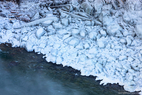 Icy Glaze, Banks of Snoqualmie River, Washington