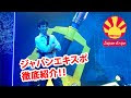 [最も共有された！ √] 日本 の ゲーム つまらない 327824