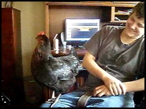 Got bored, made music, 2011