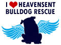 HeavenSent Bulldog Rescue of NJ.