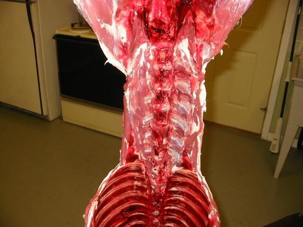 Step by step deer processing | Ron's outdoor blog.