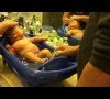 Help Baby Like Bath : Brunette, blonde, baby, toddler, mom, mother, motherhood ... / Here are some ideas that might help older babies and toddlers get used to the bath:
