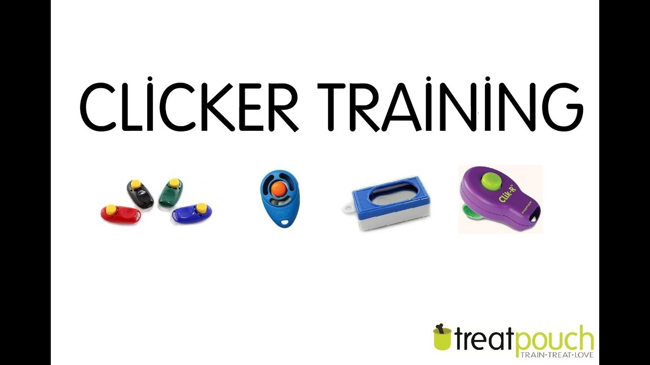 Introduction to Dog Training / Clicker Training - YouTube