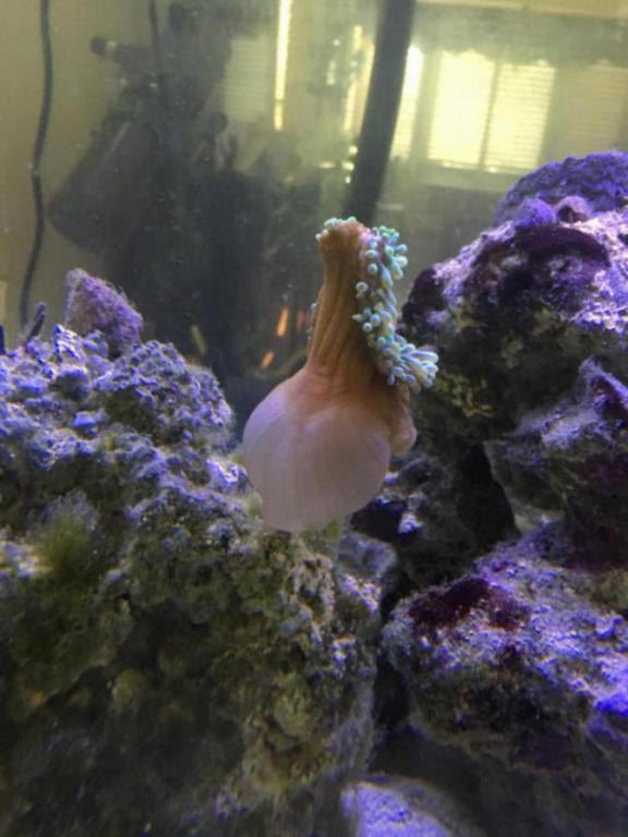 Click image for larger version Name: image_1469306652423.jpg Views: N/A Size: 52.4 KB ID: 131129