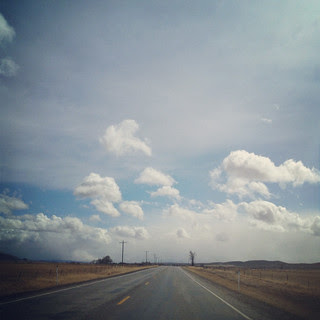 wy14