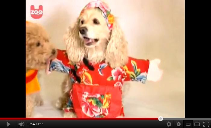 china dog