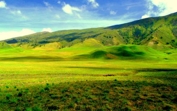 Bukit Teletubies savanah Gunung Bromo