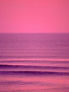 海の楽園 Red Wave の待ち受け画像 壁紙 動物 パラダイス