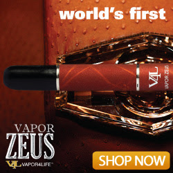 Introducing the world's first Vapor Zeus!