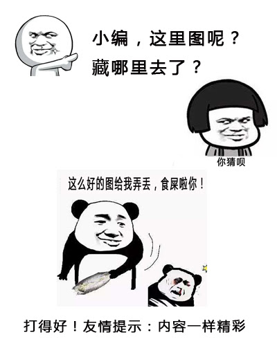 本田圭佑眼睛突出是怎么了 本田圭佑和本田汽车家族有关系吗 江都在线